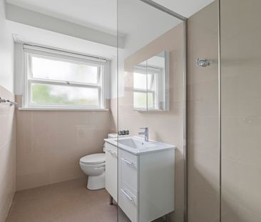 Renovated Home In Superb Location to Schools and Westfield - Photo 5