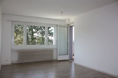 3 Zimmer, 65 m², EG - Photo 4