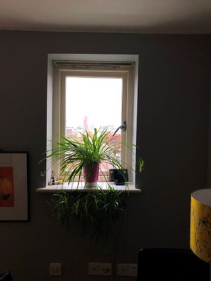 1 Bed Flat, Ashvale Court, E3 - Photo 1