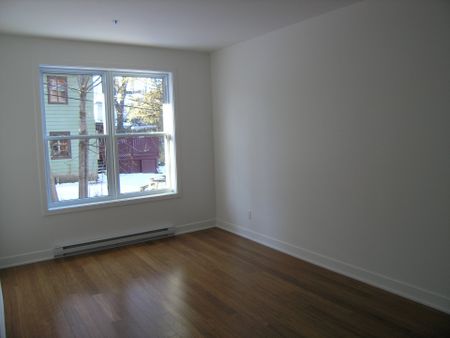 542 Rue Main, apt. 303 - Photo 4