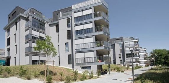 Beautiful apartment located in a Minergie construction (2016) - Photo 2