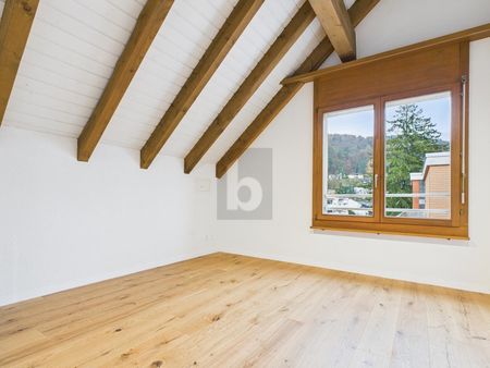 FRESHLY RENOVATED, WITH VIEW OVER THE LIMMATTAL VALLEY - Photo 3