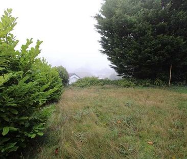 Santa Monica Grove, Bradford, BD10 - Photo 3