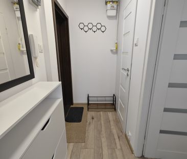 Centrum Szczecina, do wynajęcia ładne 2pok. 34m2 (440073) - Фото 2