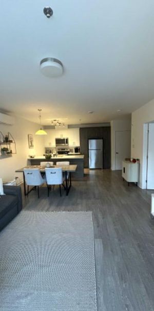 Appartement 3 1/2 à louer, Beloeil - Photo 1