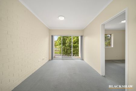 2/63 Molonglo Street, Queanbeyan NSW 2620 - Apartment For Rent | Domain - Photo 4