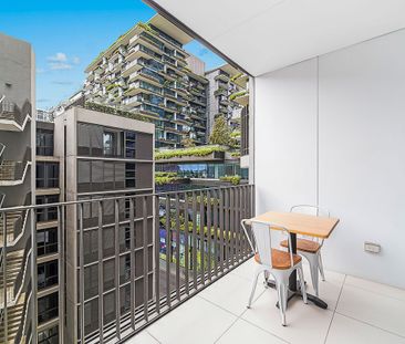 8 Park Lane, Chippendale NSW 2008 - Apartment For Rent | Domain - Photo 6