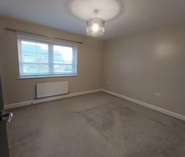 Long Meadow - Photo 4