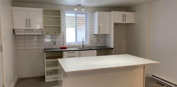 Grand 5 1/2 Quartier Montcalm - Photo 2