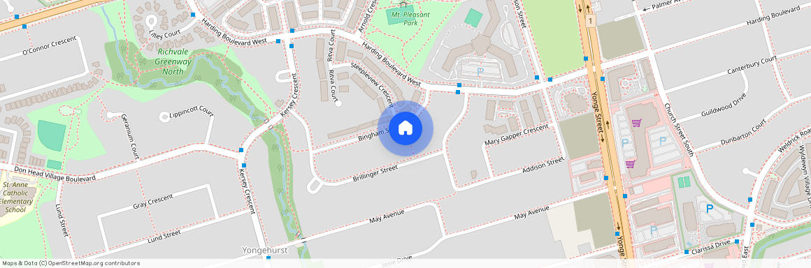 29 Bingham St, Richmond Hill