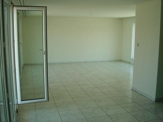 Happiness at first sight in the home - Photo 1