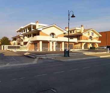 Appartamento in Affitto a Ardea – Zona: Tor San Lorenzo - Foto 4