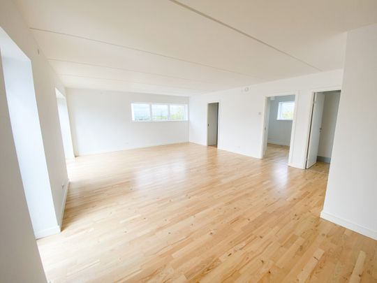 Lækker 4 værelses lejlighed tæt på skov og natur - Foto 1