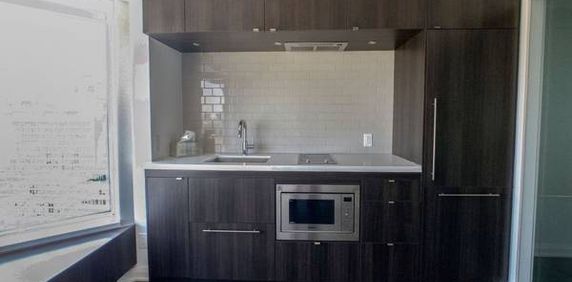 YORKVILLE: Unfurnished Jr. 1 bedroom condo in the heart of Yorkville - Photo 2