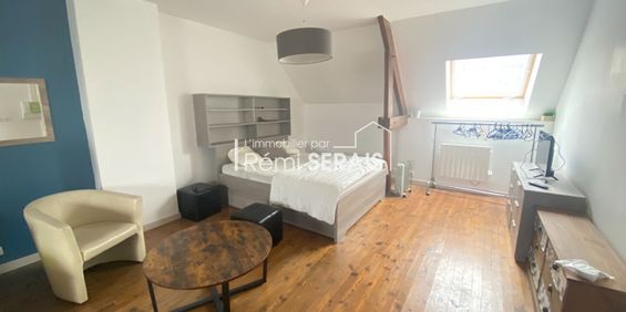 FLERS - Appartement 1 pièces 42.40 m2, - Photo 3