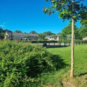 Maison familiale de 4 pièces, Pasteurstraat, Bovenkarspel - À louer - Foto 2