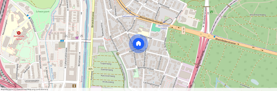 4127, Birsfelden, Fasanenstrasse, 13