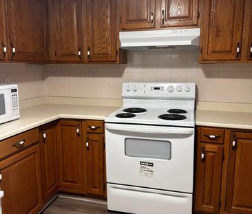 For Lease - 29 Moeller Court Unit# Basement, Toronto, Ontario - Photo 5