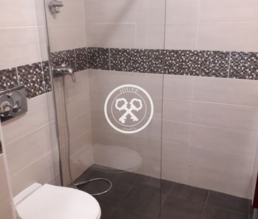 Location Appartement 1 pièce 26m² STE SAVINE 10300 - Photo 5