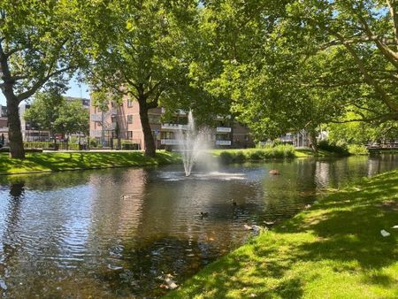 Te huur: Appartement Crooswijksesingel in Rotterdam - Photo 2
