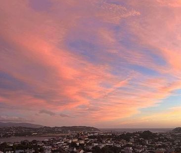 Charming 1BR Hataitai Haven w/ Stunning Views - Photo 1