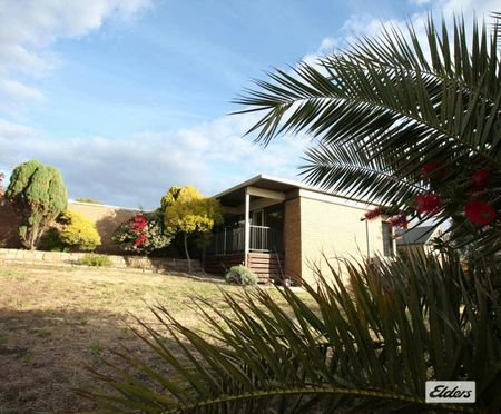 4/31 Seaby Street - Photo 2