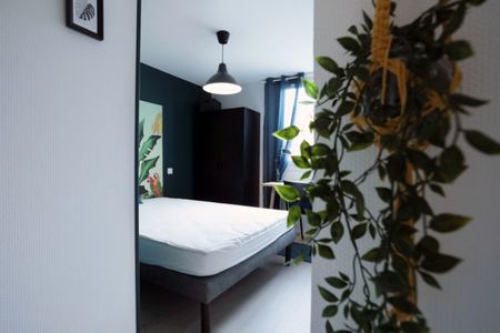 LASCROSSES Roommate 4 Bedrooms at Toulouse - Photo 5