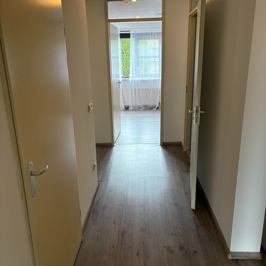 Swammerdampad - Foto 1
