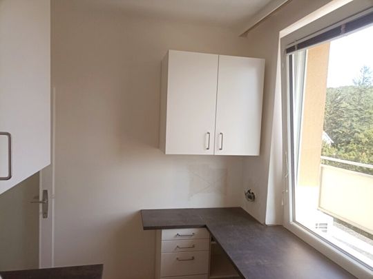 BADEN: DACH - TERRASSEN - WOHNUNG in TOP Lage: Grünruhelage mit Fernblick im 6. Stock direkt am Rosarium unweit des Zentrums - Photo 1