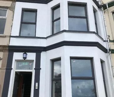 Unit 2, 70 Seacliff Road, Bangor, BT20 5EZ - Photo 3