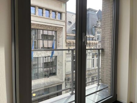 Prachtig, lichtrijk appartement in hartje Antwerpen - Photo 3