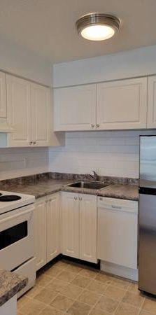 Large Cat Friendly Studio Unit With Laundry Steps From Commercial Dr - Photo 1