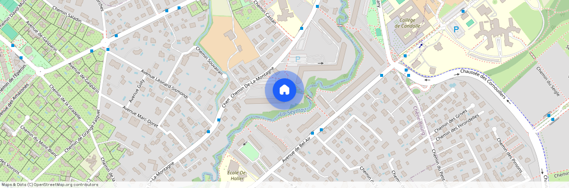 1224, Chêne-Bougeries, Chemin De-La-Montagne, 80