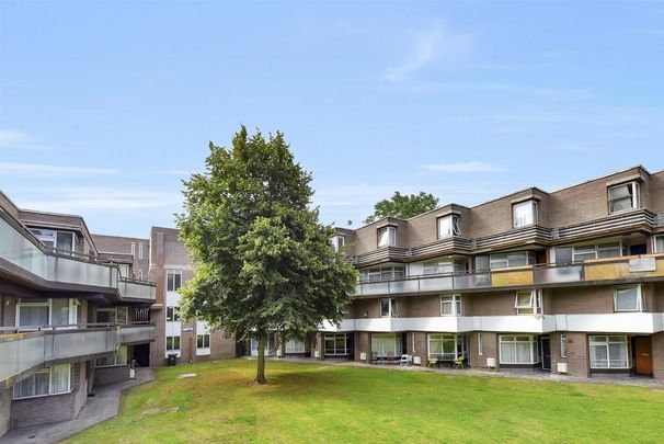 4 bedroom apartment to rent - Photo 1