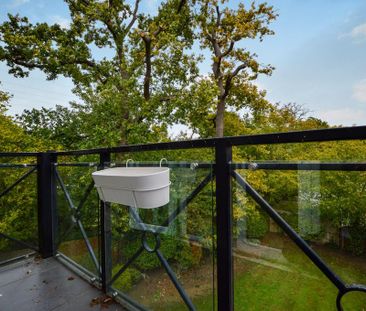 3 bedroom penthouse to rent - Photo 4