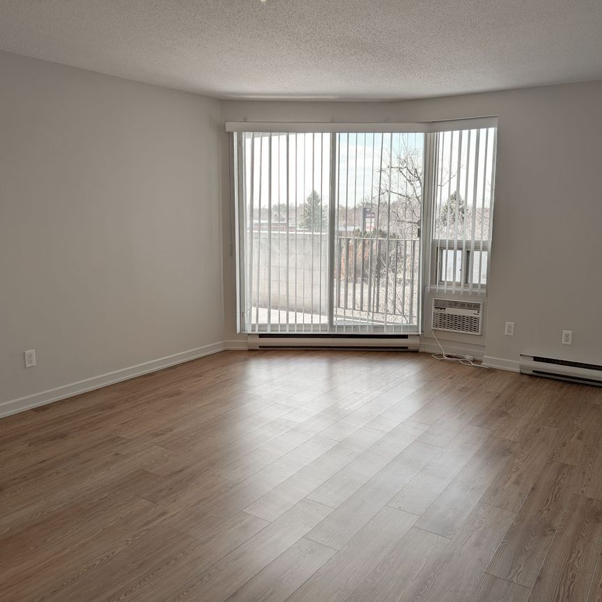 For Lease - 1320 Richmond Road Unit# 320, Britannia - Lincoln Heights and Area, Ontario - Photo 1