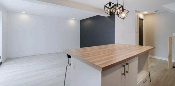 🌿 Grand 4 1/2 rénové à louer – Fabreville, Laval - Photo 2