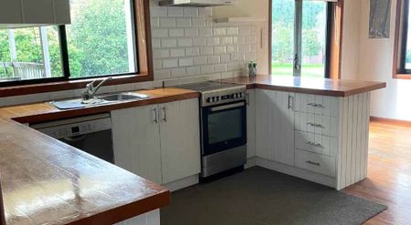 Sunny Haven - Photo 2