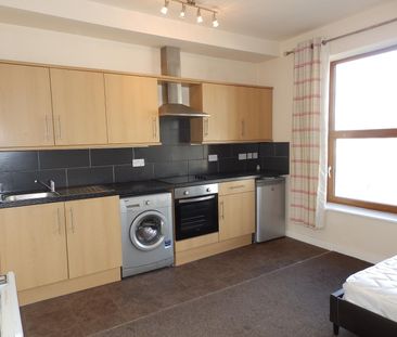 1 bedroom studio apartment to rent - Photo 4
