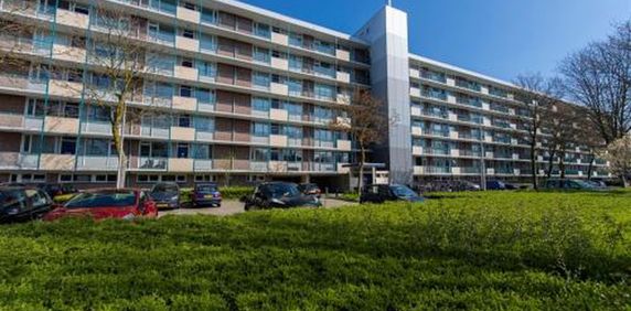 Professor Cobbenhagenlaan 5037 Tilburg - Photo 2