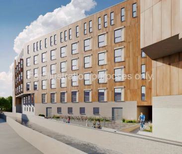 Bronze Studio - Photo 4