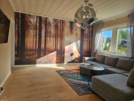 Johansgatan, Skellefteå - Foto 2