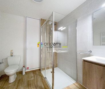Location Appartement 2 pièces 43m² BARR 67140 - Photo 3