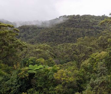 Hornsby Heights - Photo 1