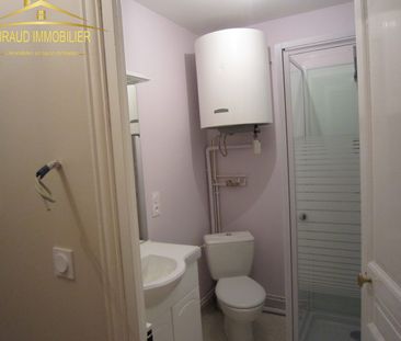 Location Appartement 2 pièces 40m² CHARLIEU 42190 - Photo 4