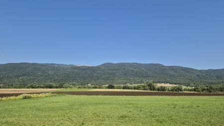 Charmante maison à louer sur Chéserex - Photo 4