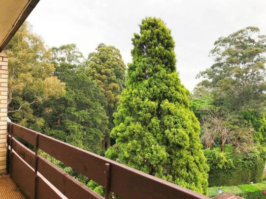 Large Light Filled Unit - 10 min walk to Chatswood Station - Photo 1