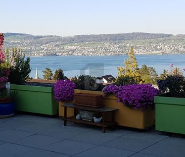 FRESHLY RENOVATED WITH BEAUTIFUL VIEWS - Photo 4