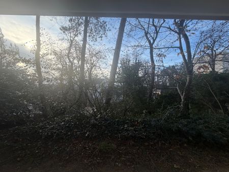 Location Appartement 1 pièce 16m² VERSAILLES 78000 - Photo 4