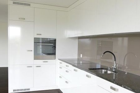 Top modern apartment with unobstructed views - Foto 5